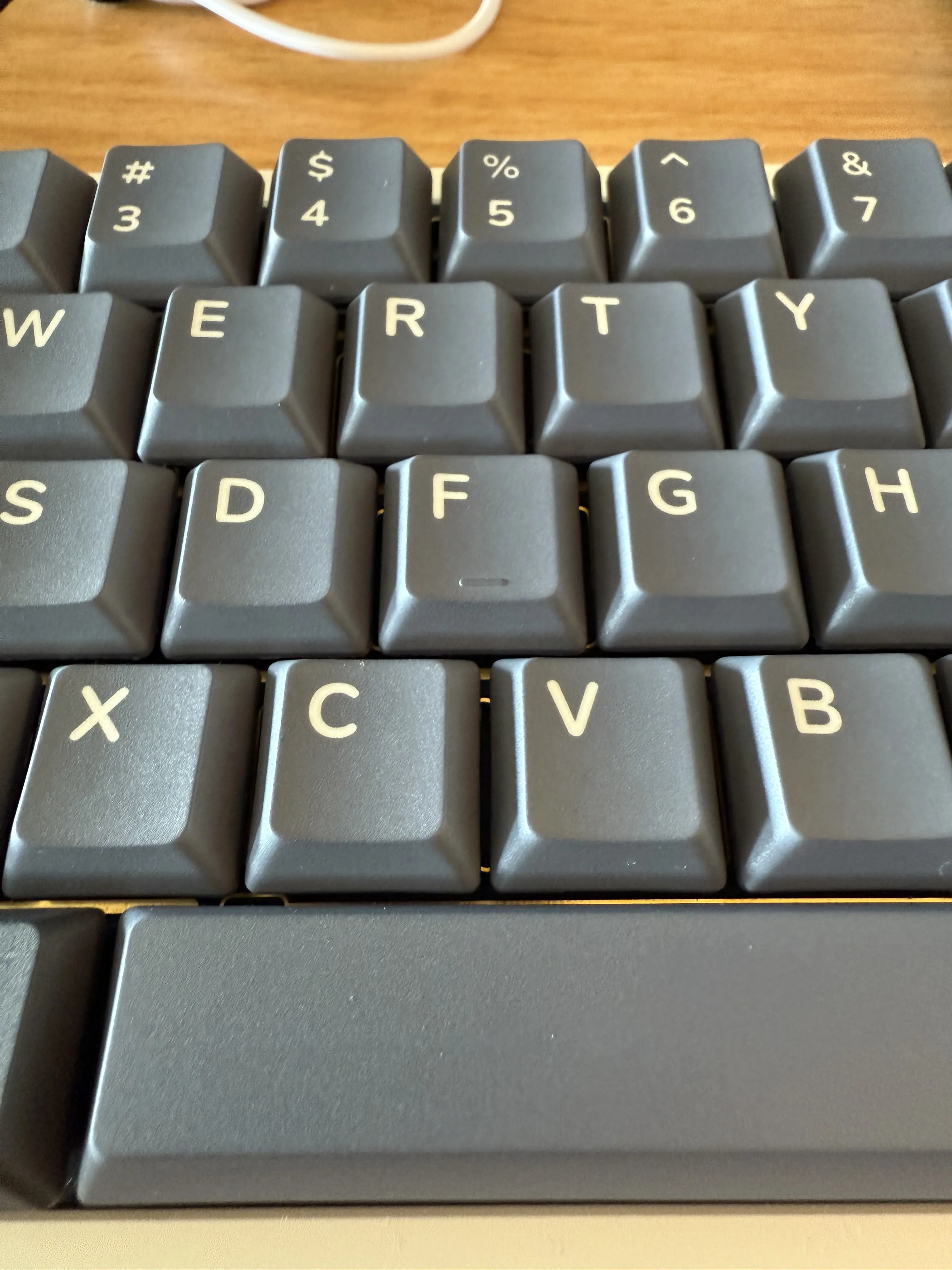 homing-key.webp